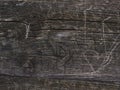 Grey wood plank grain texture. Wooden board striped old fiber Royalty Free Stock Photo