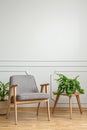 Grey wooden armchair next to table with plant in living room int Royalty Free Stock Photo