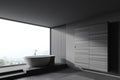 Grey and wooden bathroom with tub and wardrobe Royalty Free Stock Photo