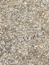 Grey wooden chips texture background. Safe ground cover Royalty Free Stock Photo