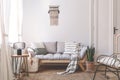 Grey wooden couch with cushions in white living room interior with lamp on table. Real photo