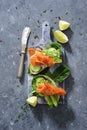 Whole grain bread sandwiches with fresh cucumber, spinach leaves, avocado and smoked salmon