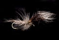 Grey wulff fishing fly