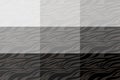 Grey Zebra print. Stripes, animal skin, tiger stripes, abstract pattern, line background. Black and white vector monochrome Royalty Free Stock Photo