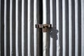 Grey zinc warehouse door with rusty padlock. Royalty Free Stock Photo