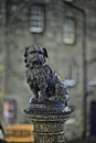 Greyfriars Bobby, at night, Edinburgh, Scotland