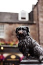 Greyfriars Bobby Statue, Edinburgh, Scotland