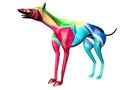 Greyhound colored 3D model 1 Royalty Free Stock Photo
