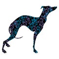 Greyhound dog breed vector illustration. Elegant silhouette of a Greyhound dog with an ornament. Royalty Free Stock Photo