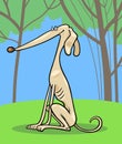 Greyhound dog cartoon illustration