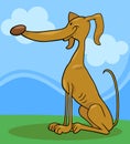 Greyhound dog cartoon illustration