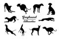 Greyhound dog silhouettes.