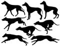 Greyhound dog silhouettes Royalty Free Stock Photo