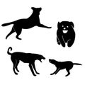 Greyhound dog silhouettes Royalty Free Stock Photo