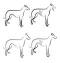 Greyhound dogs logo