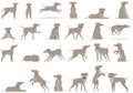 Greyhound icons set cartoon . Animal breed