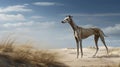 Greyhound In The Nature: A Stunning 4k Rendering Of A Galgo On The Sand