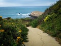 Greyhound Rock Beach on the California Coast
