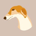 Greyhounds dog head vector illustration