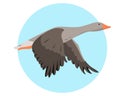 Greylag Goose flying in sky. Wild migratory Bird icon.