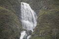 The Greymares Tail Royalty Free Stock Photo