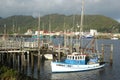 Greymouth Fishing Fleet