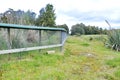 Predator trap at the Bois Gentil Kiwi CrÃÂ¨che, New Zeland