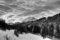 Greys River in Wyoming Royalty Free Stock Photo