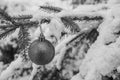 Greyscale black and White Beautyful Christmas Ornament Bauble haning at a Fir Tree with Snow