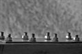 Greyscale closeup shot of screws clamped on an iron plate