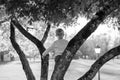 Greyscale image of a little boy in a tree