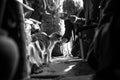 Greyscale image of man kneeling on the floor feeding cat from ha