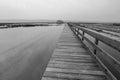 Greyscale image of Secovlje Saltpans Royalty Free Stock Photo