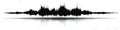 A greyscale representation of sound waves demonstrating various patterns and dynamic waveforms