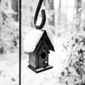 Greyscale shot of a handmade hanging birdhouse covered with snow