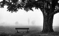 Greyscale shot of a single wooden park bench in a rolling green field under a lonely tree Royalty Free Stock Photo