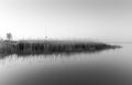 Greyscale shot of a small island with a lot of grass reflecting on the sea Royalty Free Stock Photo