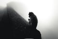 Greyscale silhouette shot from the back of a baboon sitting on a stone  and holding a piece of grass Royalty Free Stock Photo