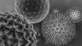 Greyscale Viruses Deatail with detph of field effect - 3D Illustration