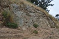 Greywacke rock heaves up on Mt Davidson San Francisco, 1. Royalty Free Stock Photo