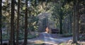 Gribskov forest in Denmark Royalty Free Stock Photo