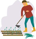 Gricultural worker planting crops. Farmer plant crops