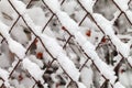 The grid of metal slabs is covered with snow. Royalty Free Stock Photo