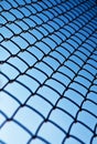 Grid Rabitz Royalty Free Stock Photo