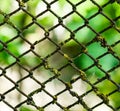 Grid is rusty metal fence wall iron background texture old Royalty Free Stock Photo