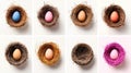A grid of six nests, each containing a single egg, with the eggs in various colors. Royalty Free Stock Photo