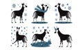 Six okapis in winter scenes with snowflakes animal Royalty Free Stock Photo