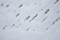 Grid in the snow,the fence from the grid was covered with snow Royalty Free Stock Photo