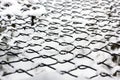 Grid in the snow. Metal net with hoarfrost Royalty Free Stock Photo