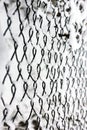 Grid in the snow. Metal net with hoarfrost Royalty Free Stock Photo